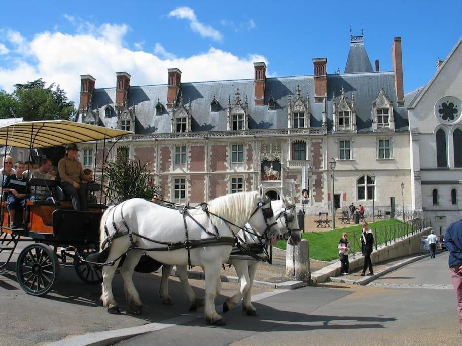 Blois City - Le Petit Louis XII 외부 사진